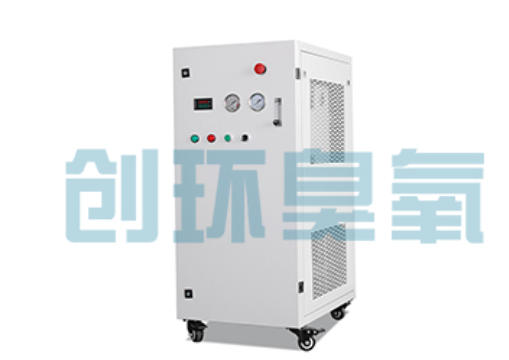 滦南石斑鱼养殖水质调控完整指南：臭氧发生器配置与操作步骤
