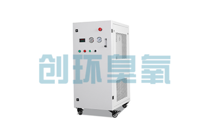 滦南比传统换水更高效？臭氧发生器在石斑鱼养殖中的水质净化原理解析
